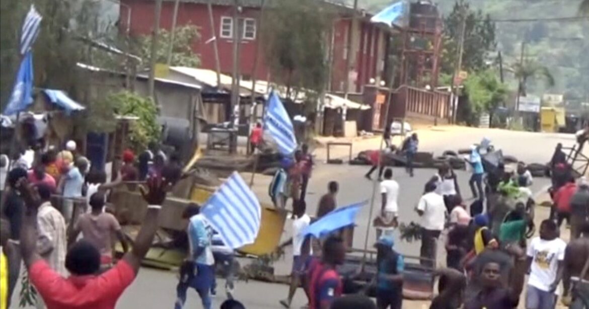 Cameroon elections 2025